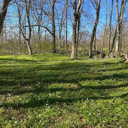 Gard Halltorps Hage Borgholm község Kültér fotó