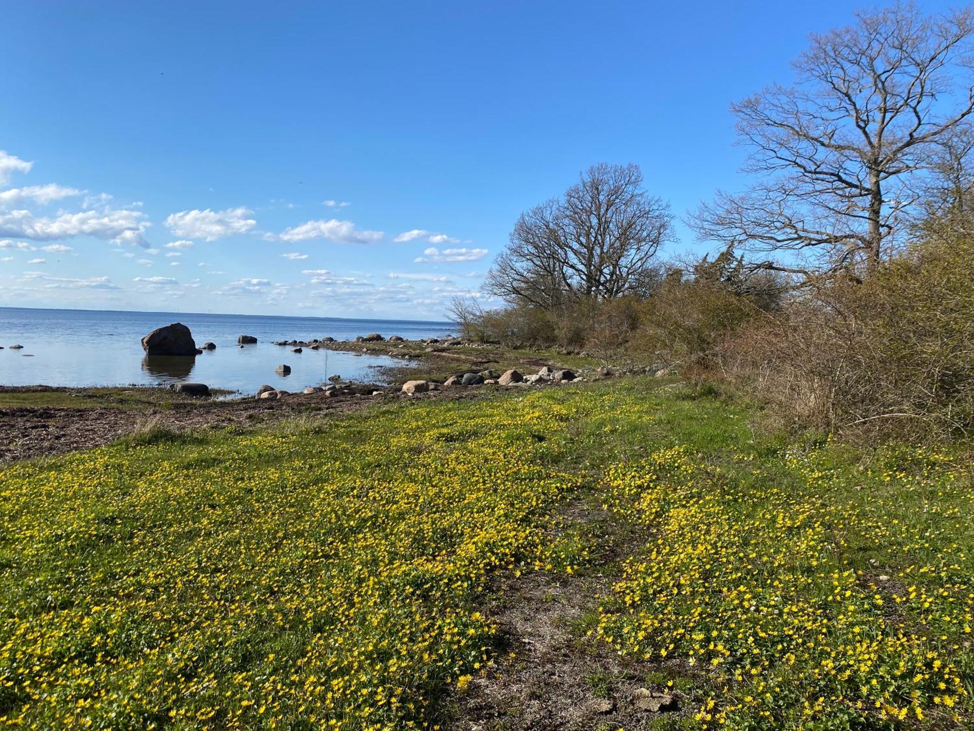 Gard Halltorps Hage Borgholm község Kültér fotó